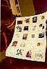 ShirisQuilt3.jpg